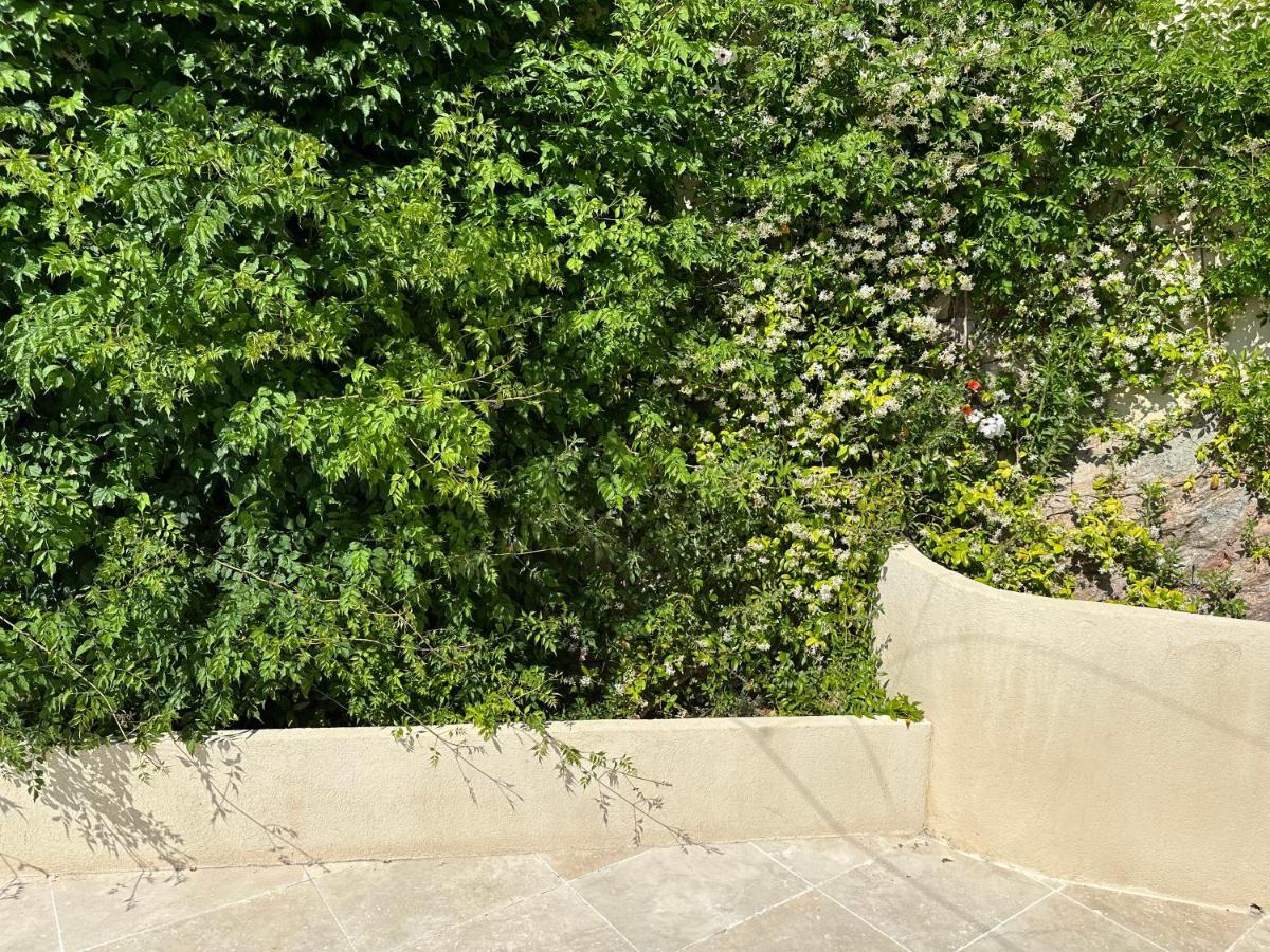 Villa Paradis - Cannes Exteriör bild